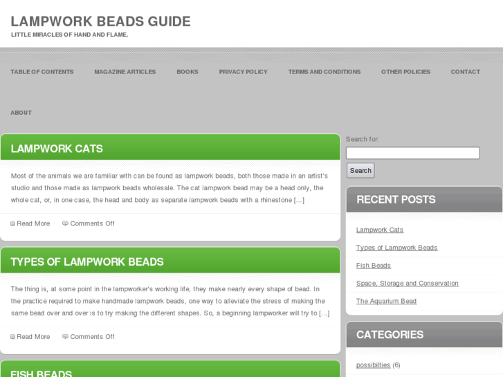 www.lampworkbeadsguide.com