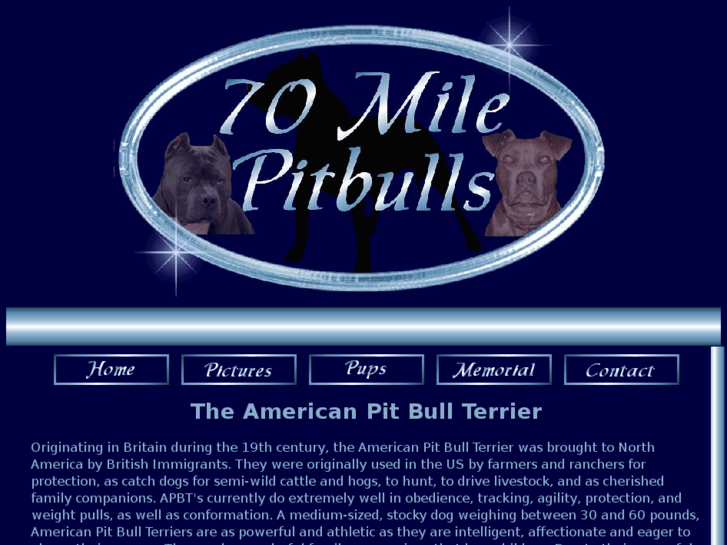 www.70milepitbulls.com