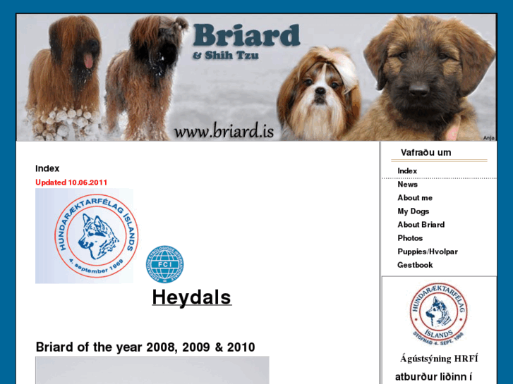 www.briard.is