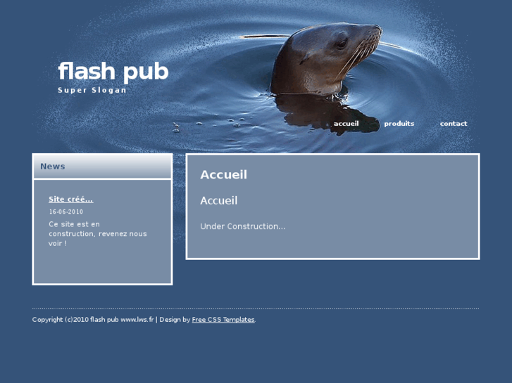 www.flash-pub.net