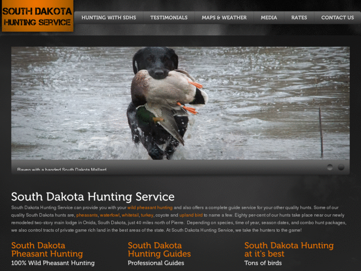 www.south-dakota-pheasants.com