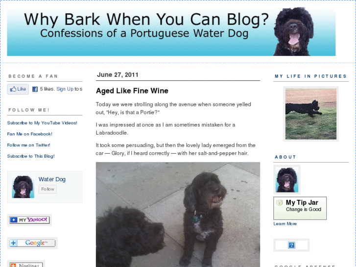 www.ybarkwhenucanblog.com