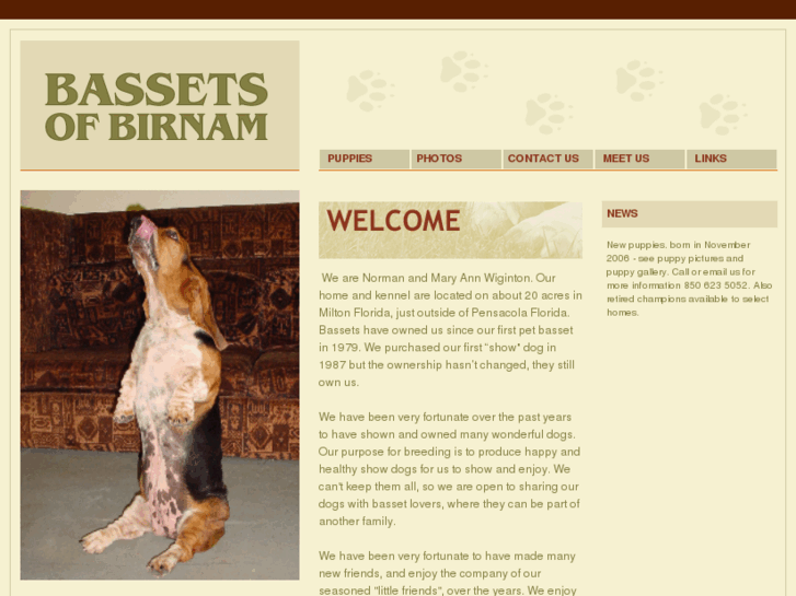 www.bassetsofbirnam.com