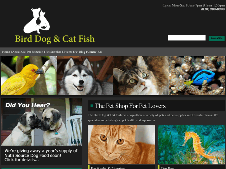 www.birddog-catfish.com