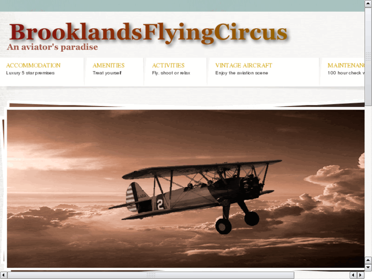 www.brooklandsflyingcircus.com