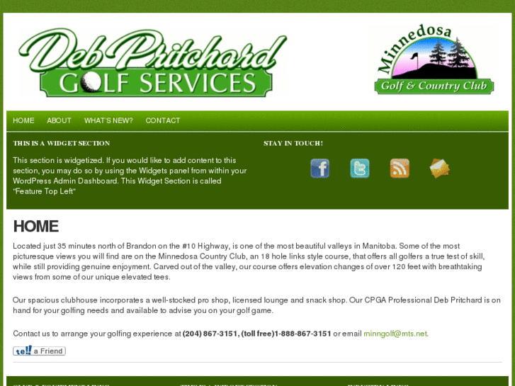 www.debpritchardgolf.com