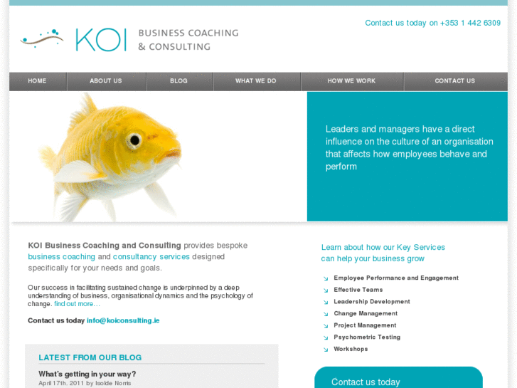 www.koiconsulting.ie