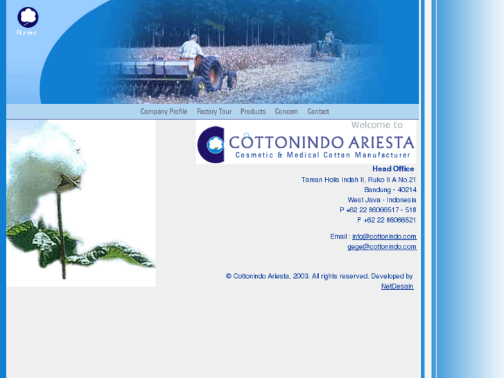 www.cottonindo.com