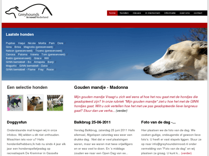 www.greyhoundsinnood.com