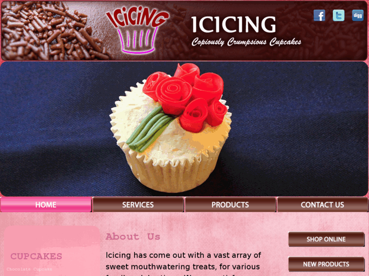 www.icicing.com