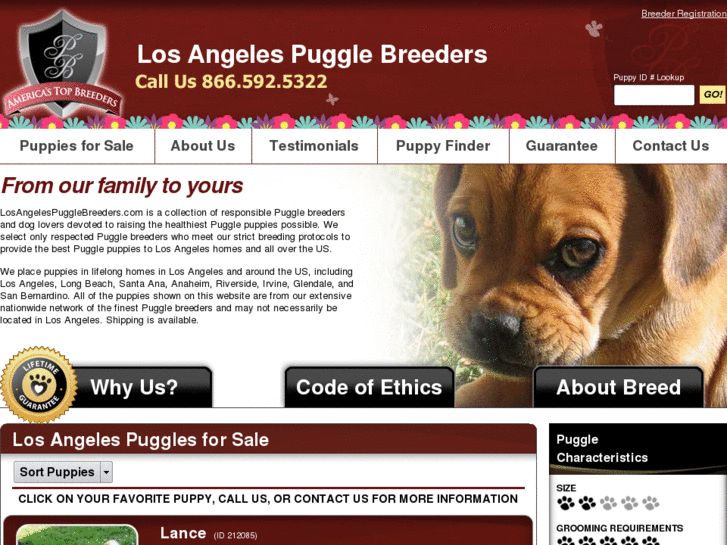 www.losangelespugglebreeders.com