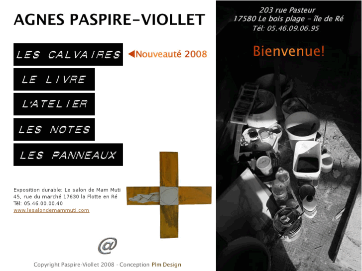 www.paspireviollet.com