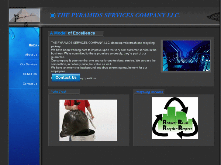 www.thepyramidsservices.com