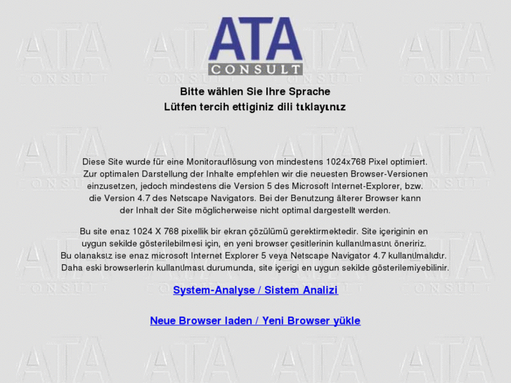 www.ata-consult.com