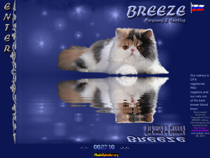 www.breezcats.com