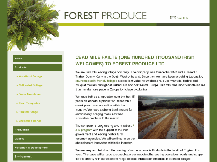 www.forestproduce.ie