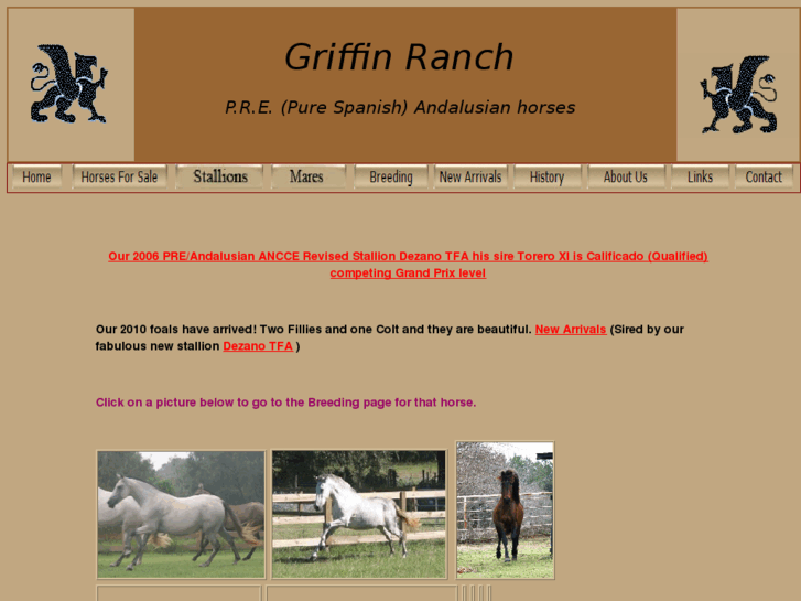 www.griffinandalusians.com