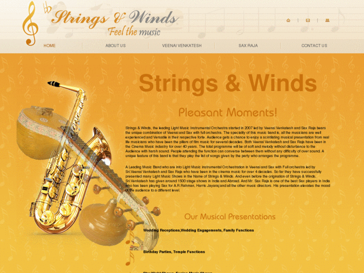 www.stringsandwinds.com