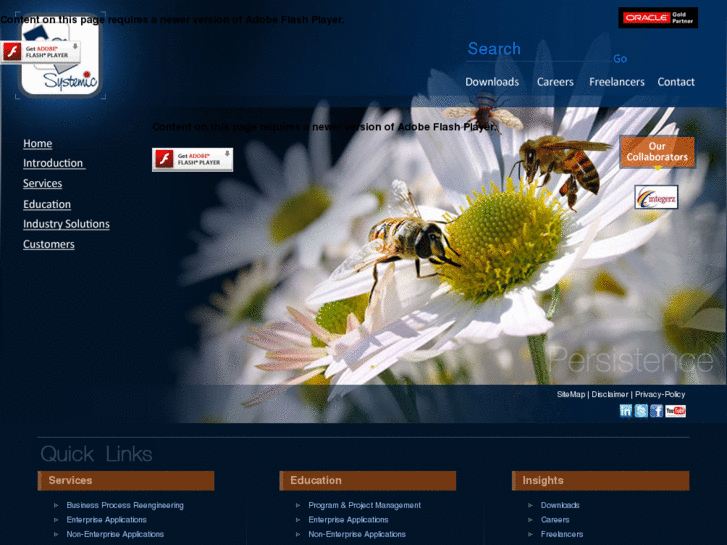 www.systemicsoftware.com