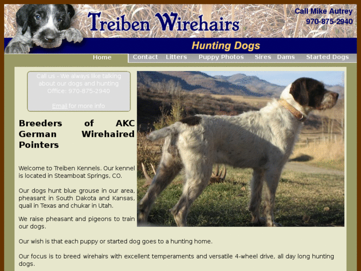 www.wirehaireddogs.com