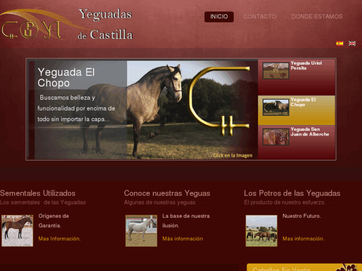 www.yeguadasdecastilla.com