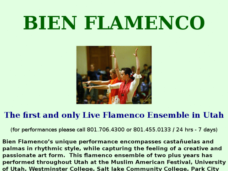 www.bienflamenco.com