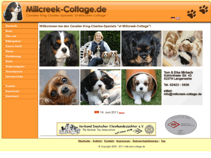 www.cavalier-king-charles-spaniels.net