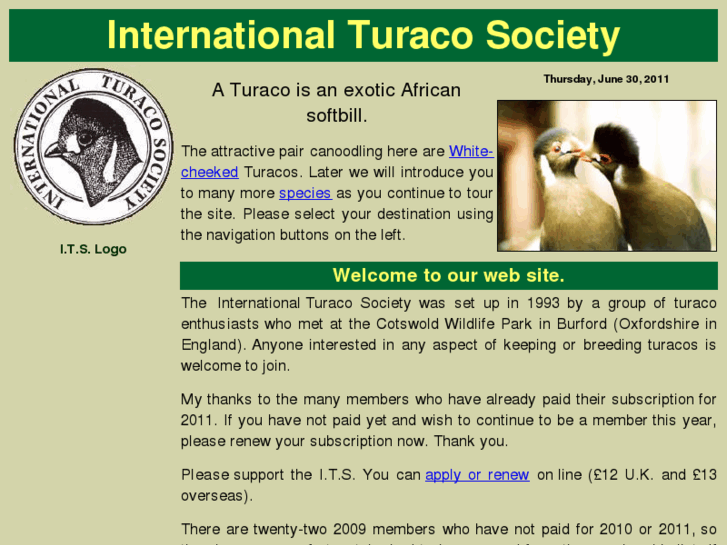 www.turacos.org