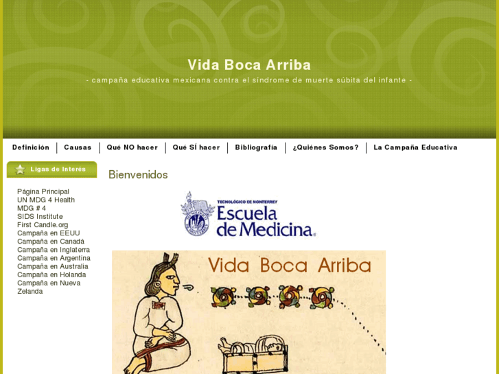 www.vidabocaarriba.org