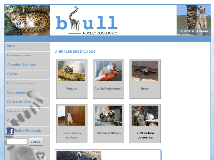 www.zoo-bull.com