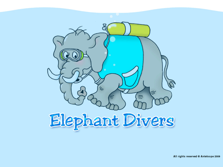 www.elephantdivers.com