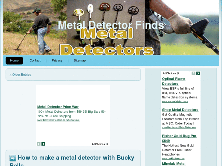 www.metaldetectorstoday.info