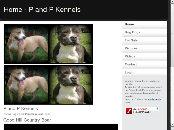 www.pennyspitbulls.com