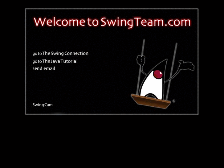 www.swingteam.com