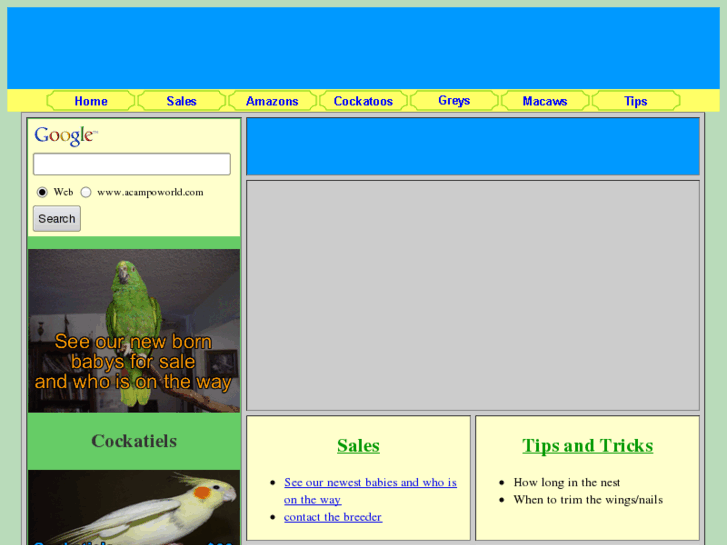 www.acampoworld.com