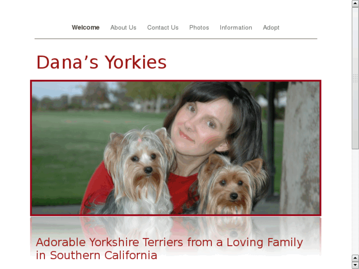 www.danasyorkies.com