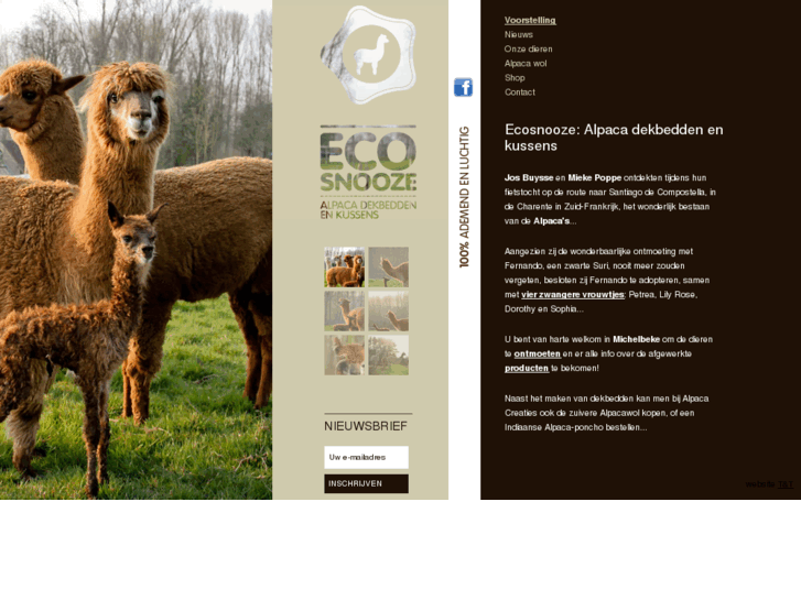 www.ecosnooze.com