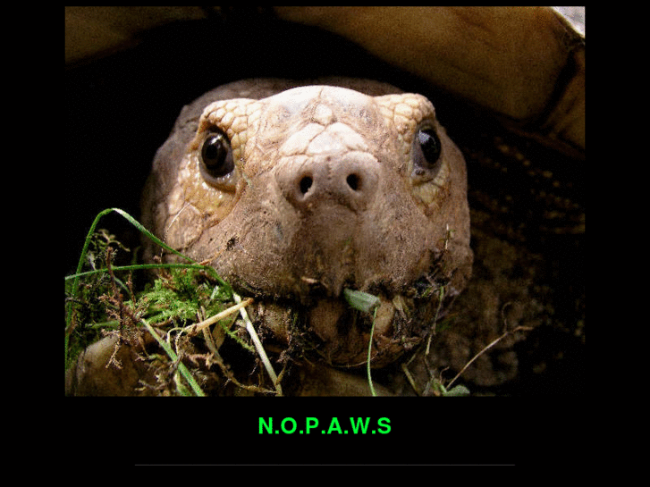 www.nopaws.com