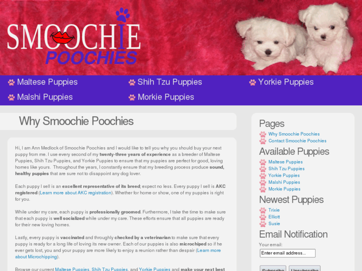 www.smoochiepoochies.com