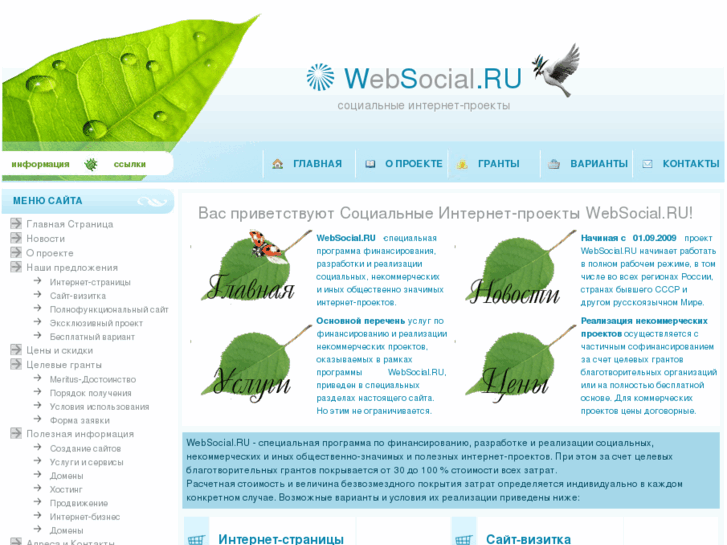 www.websocial.ru