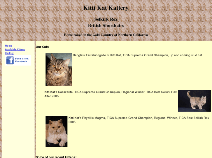 www.kittikatkattery.com