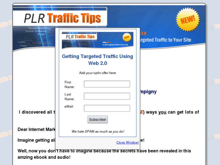 www.plrtraffictips.com