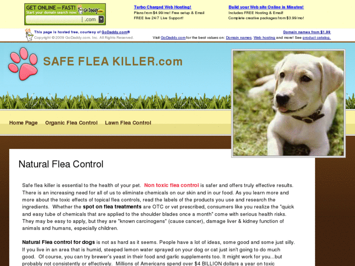 www.safefleakiller.com