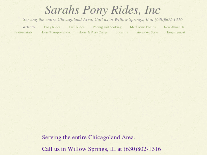 www.sarahsponyparty.com