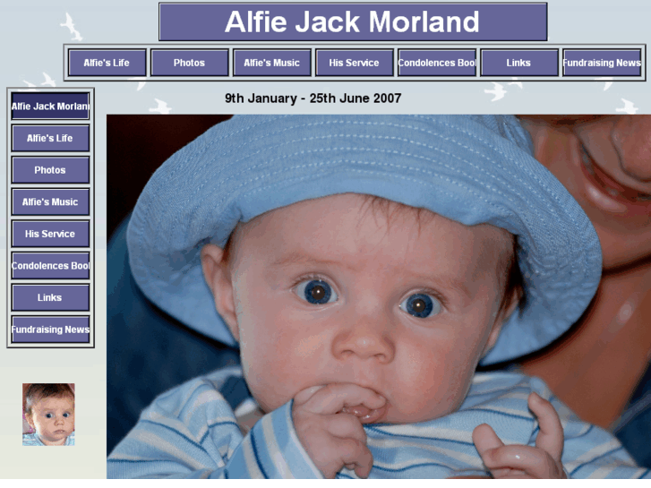 www.alfiemorland.com