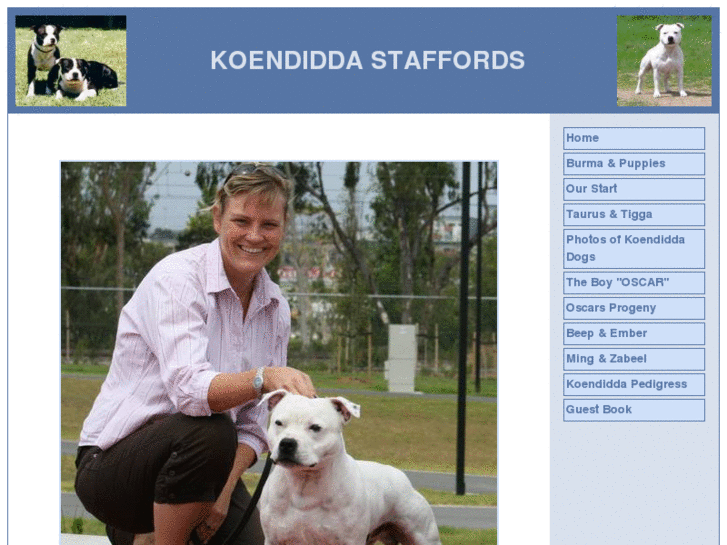 www.koendiddastaffords.com