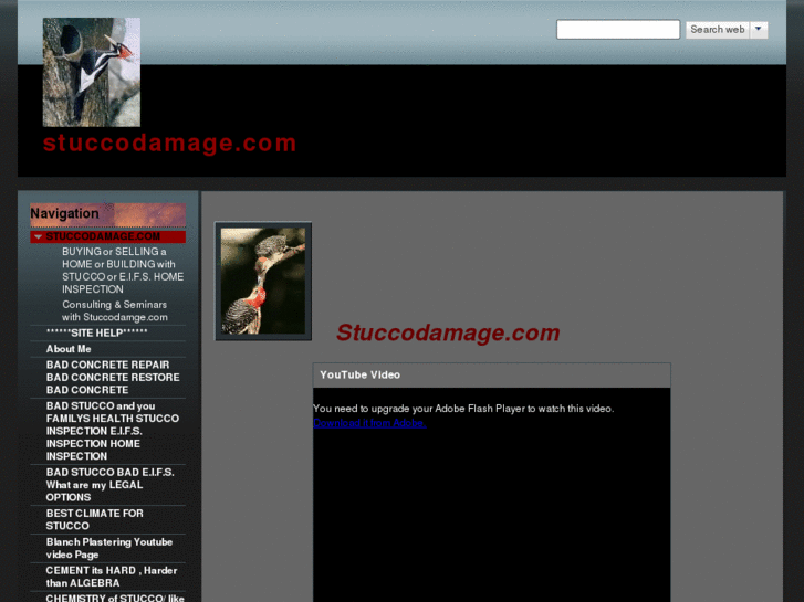 www.stuccodamage.com