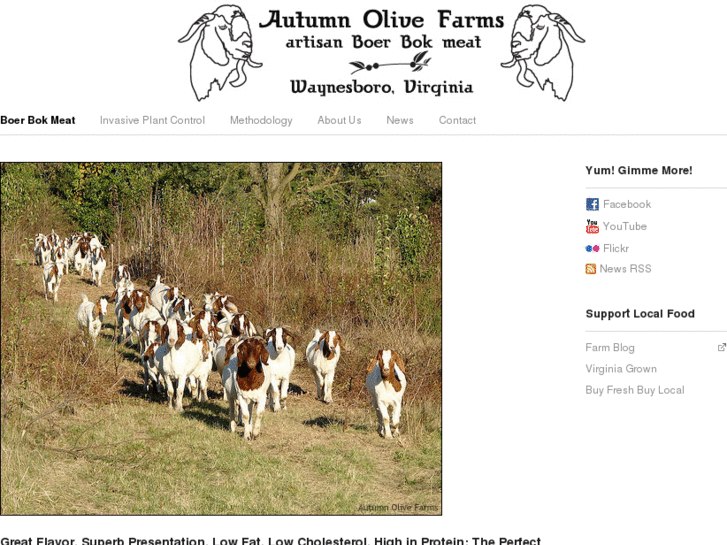 www.autumnolivefarms.com