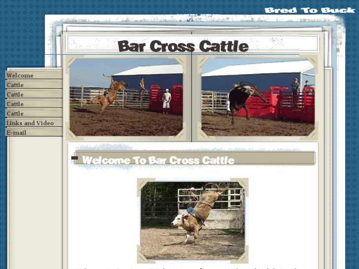 www.barcrosscattle.com