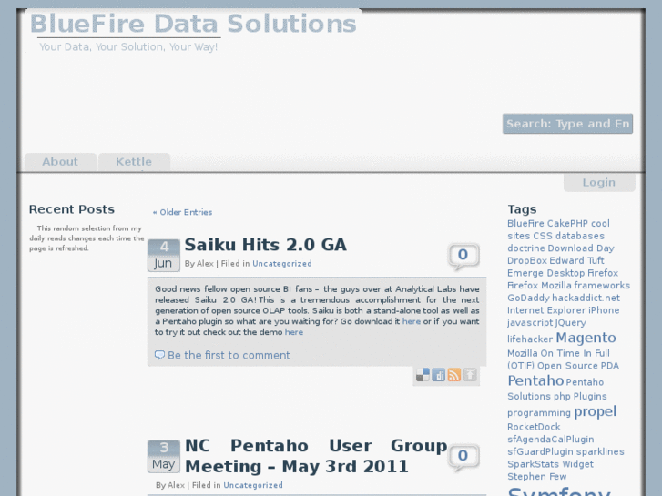 www.bluefiredatasolutions.com